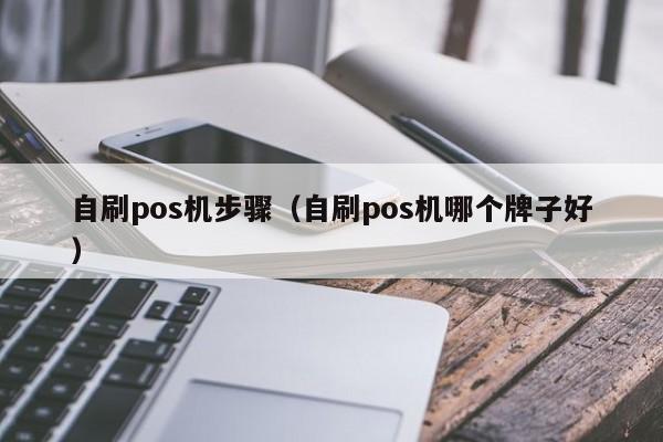 自刷pos机步骤（自刷pos机哪个牌子好）