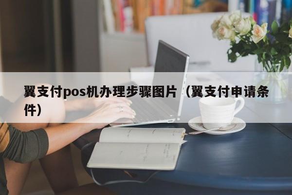 翼支付pos机办理步骤图片（翼支付申请条件）